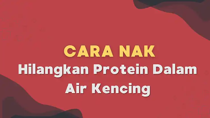 Cara Nak Hilangkan Protein Dalam Air Kencing
