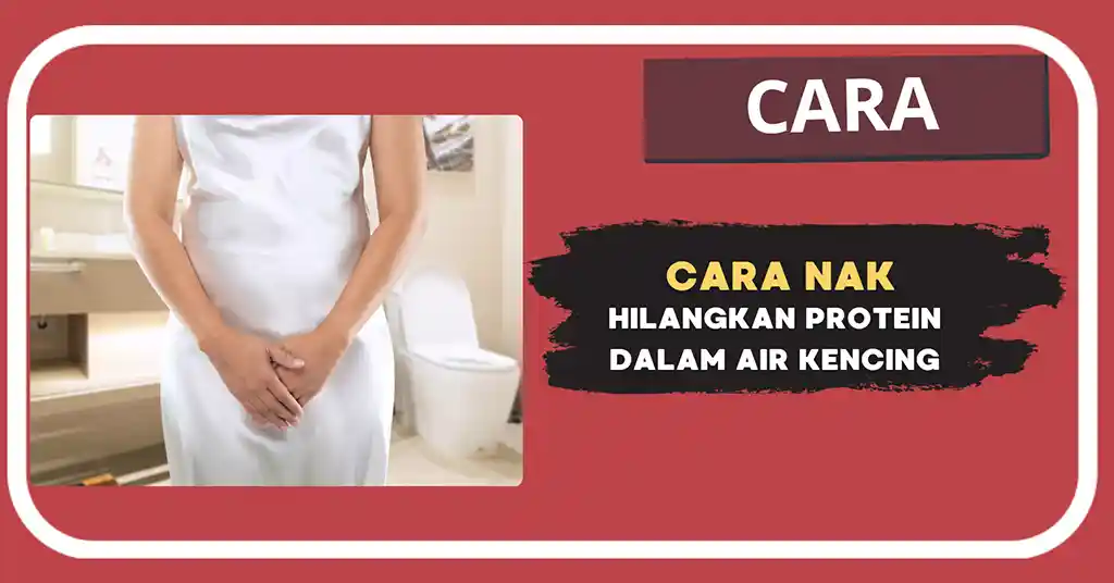 Cara Nak Hilangkan Protein Dalam Air Kencing