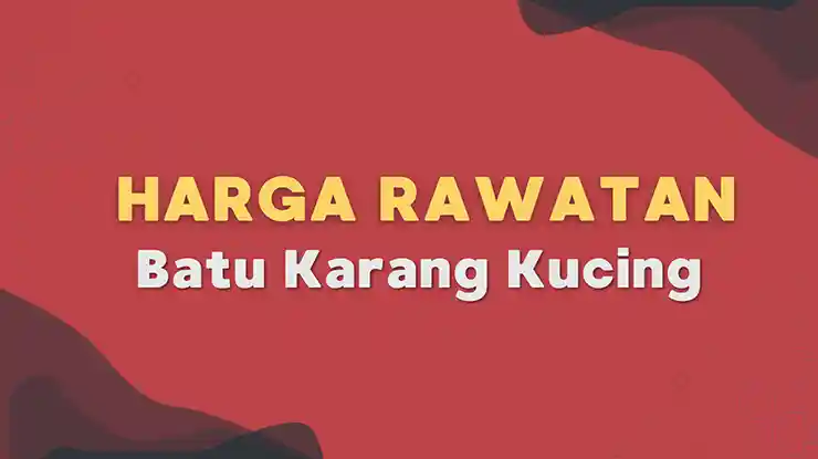 Harga Rawatan Batu Karang Kucing