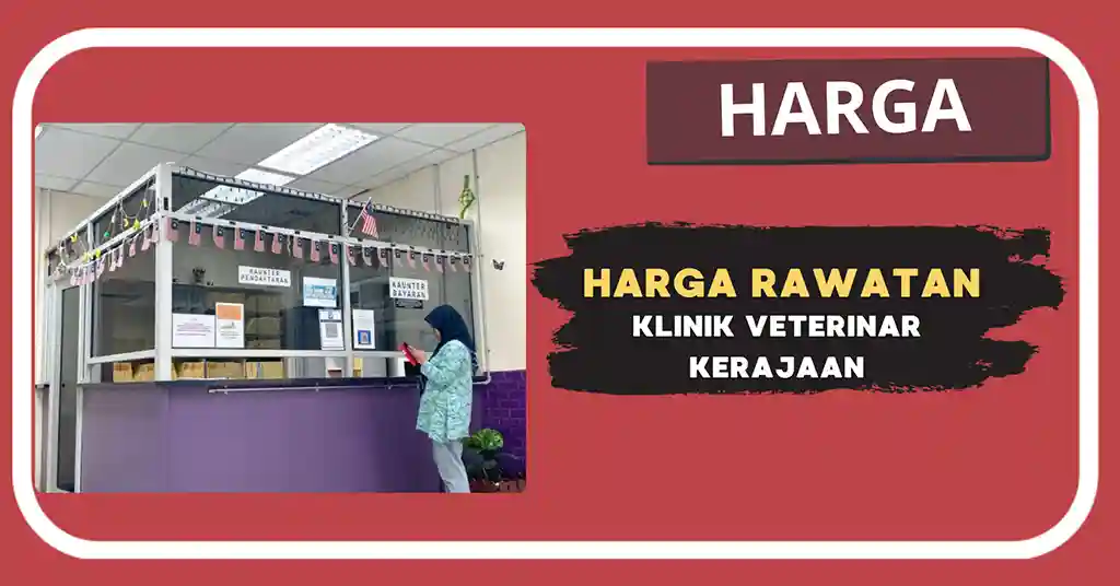 Harga Rawatan Klinik Veterinar Kerajaan Terkini