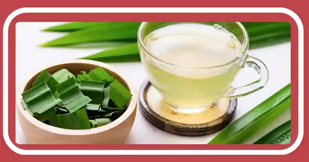 Cara Menghilangkan Resdung Menggunakan Daun Pandan Mujarab