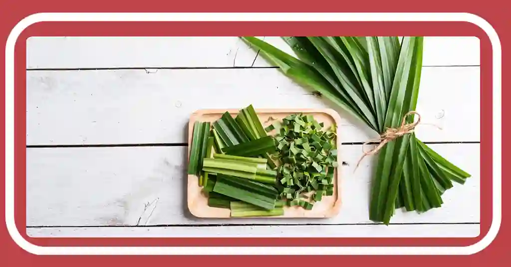 Khasiat Daun Pandan dalam Merawat Resdung
