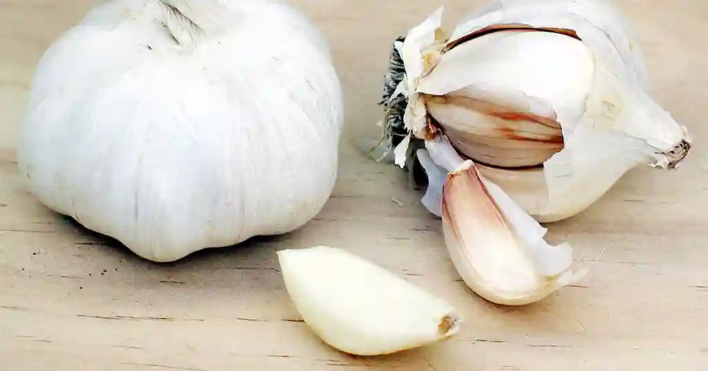 Bawang Putih