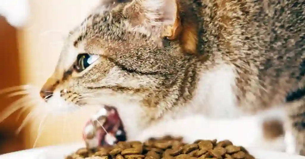 Cara Tradisional Merawat Cacing Kucing paling mujarab