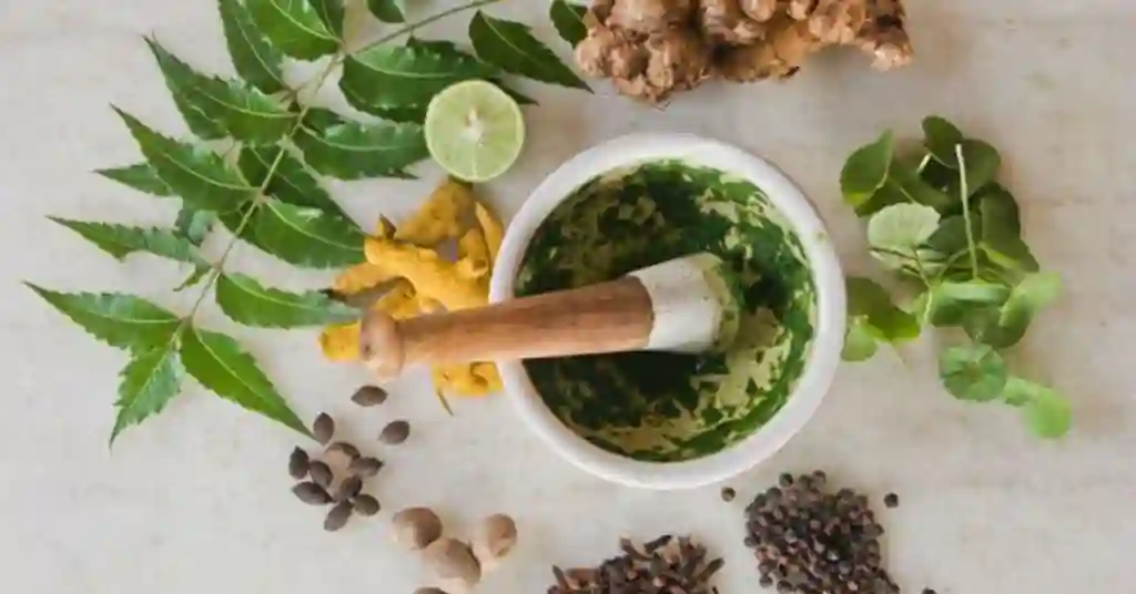 Herba Tradisional untuk Mengawal Asid Urik