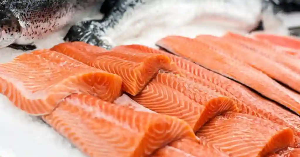 Ikan salmon