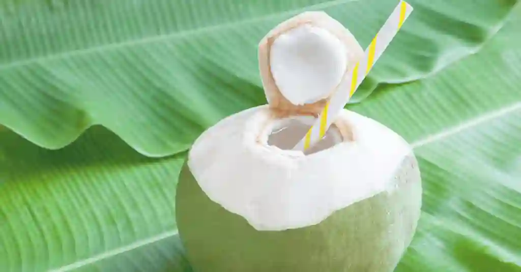 Kelapa Muda