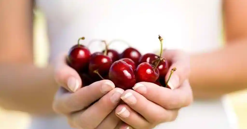Makan Buah Ceri