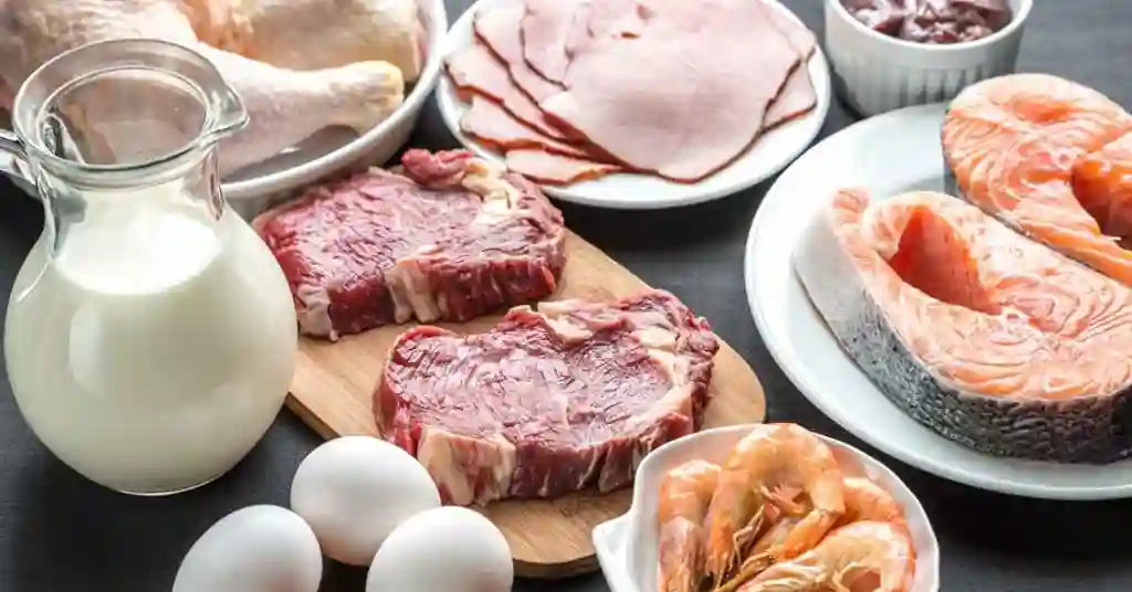 Makanan Tinggi Protein